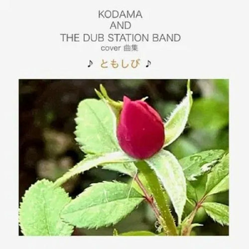 KODAMA AND THE DUB STATION BAND - Tomoshibi [2LP]