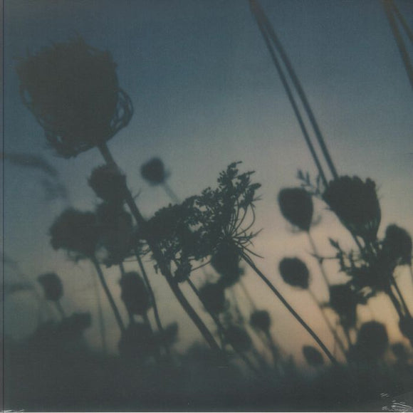 AWAKENED SOULS / BENOIT PIOULARD / ZAKE - My Heart My Beloved