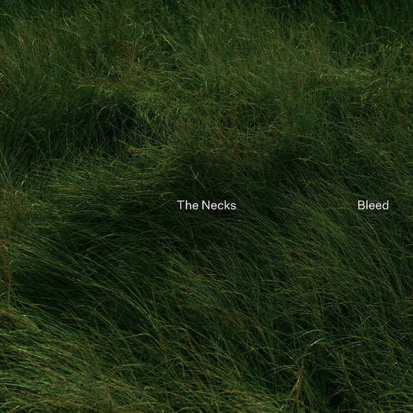 The Necks - Bleed [LP]