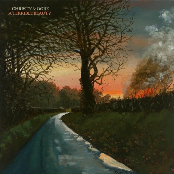 Christy Moore - A Terrible Beauty [LP]