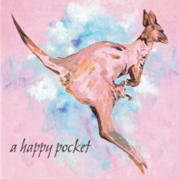 TRASHCAN SINATRAS - A HAPPY POCKET [2LP]