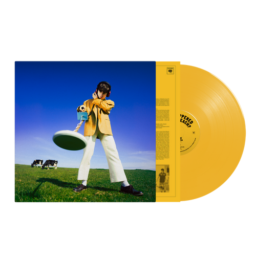 Declan McKenna - What Happened to the Beach? [Sun Yellow Vinyl]