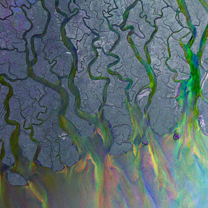 ALT-J - AN AWESOME WAVE (LP)