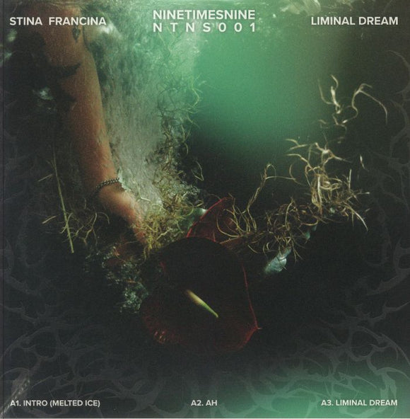 Stina Francina - Liminal Dream