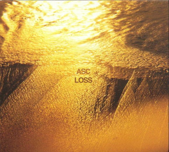 ASC - Loss [CD]