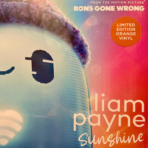 Liam Payne - Sunshine [12