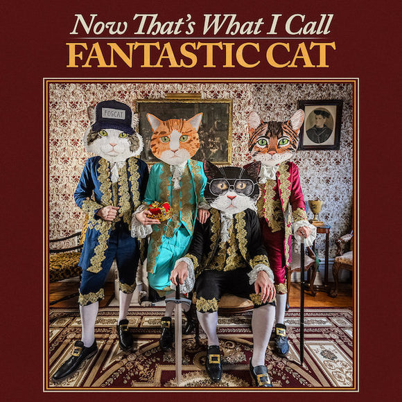 Fantastic Cat - Now That's What I Call Fantastic Cat [CD]