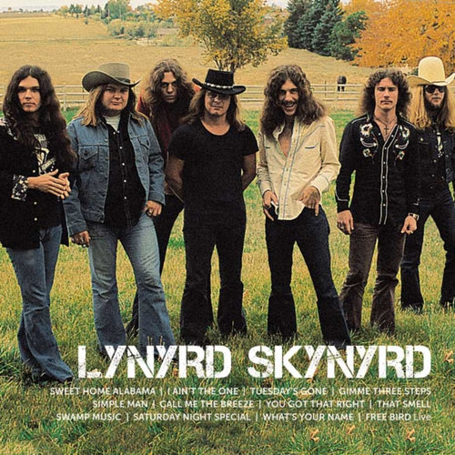 LYNYRD SKYNYRD - Icon [2LP]