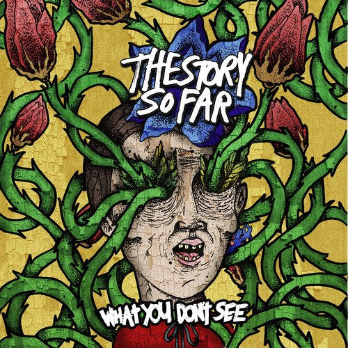 THE STORY SO FAR - What You Don’t See