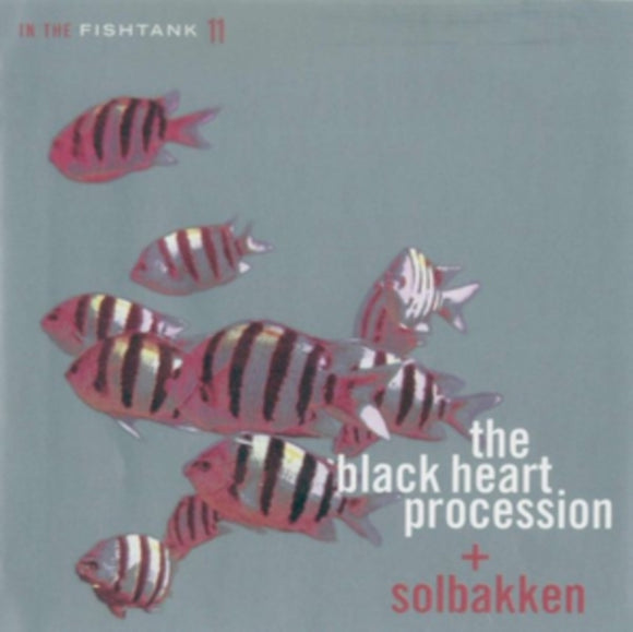 Black Heart Procession/ Solbakken - In The Fishtank [LP]