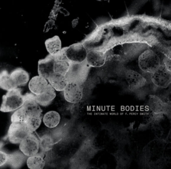 TINDERSTICKS - Minute Bodies