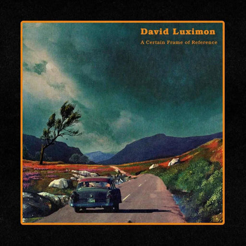 David Luximon - A Certain Frame of Reference [Heather Coloured Vinyl]