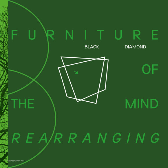 Black Diamond - Furniture of the Mind Rearranging