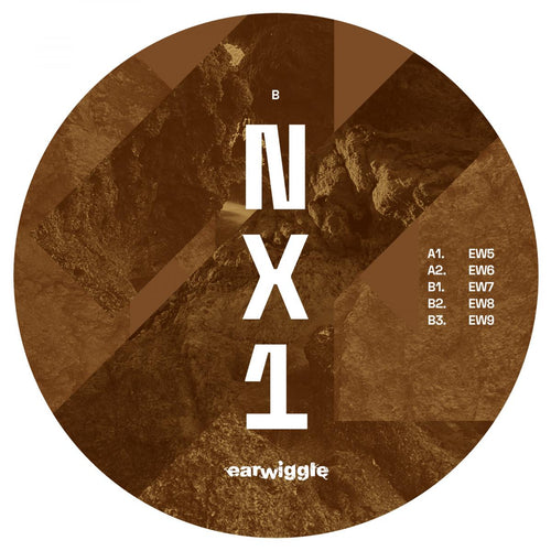 NX1 - Shaked Ear [black marbled vinyl / stickered sleeve]