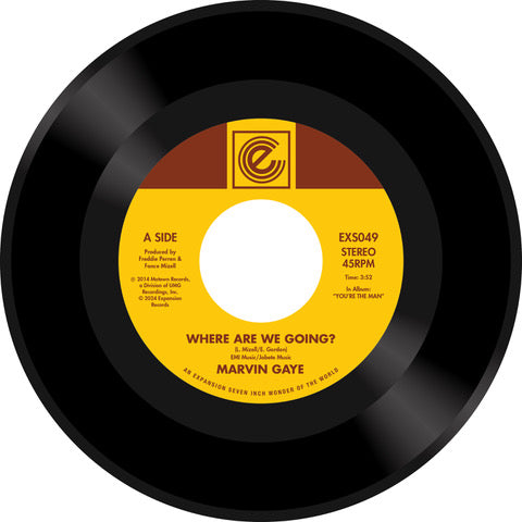 Marvin Gaye - Where Are We Going / Woman of the World 7"