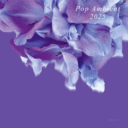 Various Artists - Pop Ambient 2025 [CD]