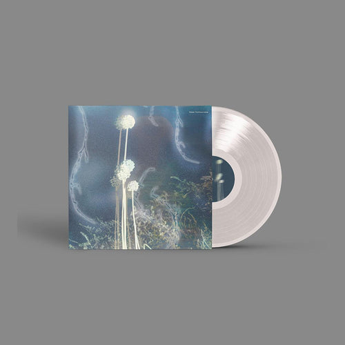 Kaiser - Controcorrente [clear vinyl / printed sleeve]