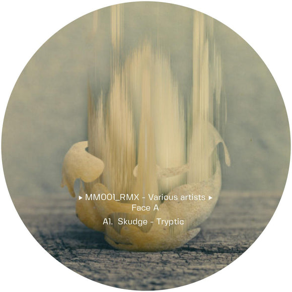 Skudge remix Temudo remix Amarou - Tryptic Remixes