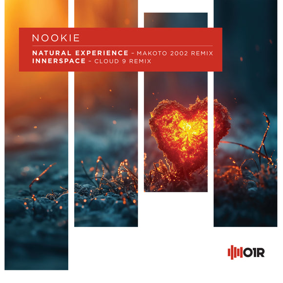 Nookie - Natural Experience/Innerspace Remixes EP