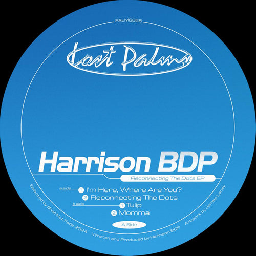 Harrison BDP - Connecting The Dots EP [blue vinyl / label sleeve]