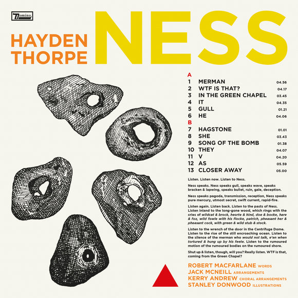 Hayden Thorpe - Ness [CD]