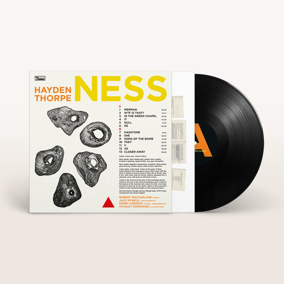 Hayden Thorpe - Ness [140g black LP]