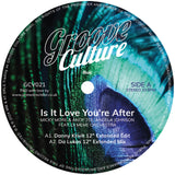 Micky More & Andy Tee, Angela Johnson, DJ Meme Orchestra, Danny Krivit, Da Lukas - Is It Love You're After