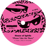 Tom Noble Presents: House Of Spirits - Please Take Me There