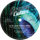 Micky More & Andy Tee, Angela Johnson, DJ Meme Orchestra, Danny Krivit, Da Lukas - Is It Love You're After