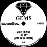 Radical Chic / Space Bunny - In Da Shadows (Terry Francis Remix) / The Key (Wax Trax Remix)