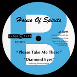 Tom Noble Presents: House Of Spirits House Of Spirits LP