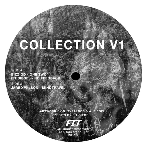 FIT Siegel / Jared Wilson / Bizz OD - Collection V1