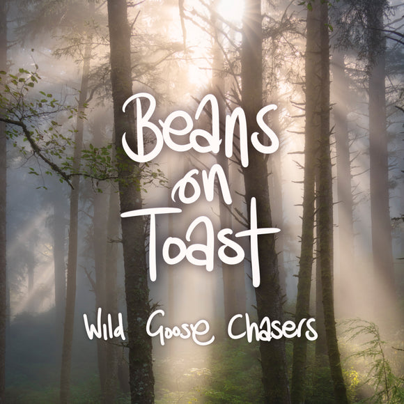 Beans On Toast - Wild Goose Chasers [CD]