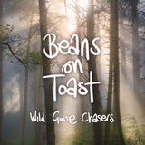 Beans On Toast - Wild Goose Chasers [Picture Disc]