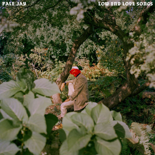 Pale Jay - Low End Love Songs [CD]