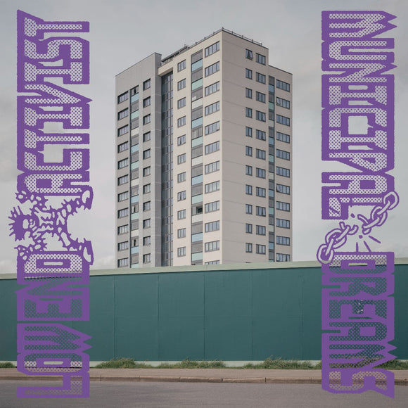 Low End Activist - Municipal Dreams [2 x 12