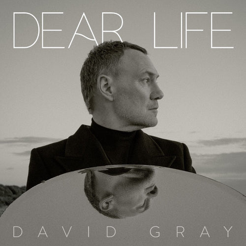 David Gray - Dear Life [2LP]