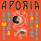 Sufjan Stevens & Lowell Brams - Aporia (1LP YELLOW)