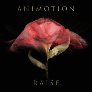 ANIMOTION - RAISE YOUR EXPECTATIONS