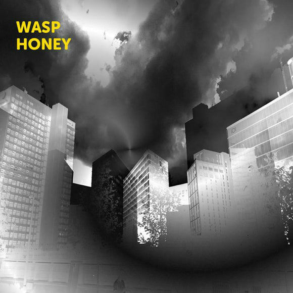 Martin Archer, John Jasnoch, Sarah Farmer & Lee Boyd Allatson - Wasp Honey