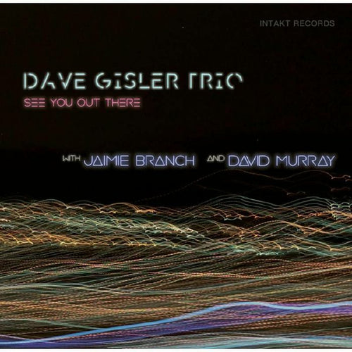 DAVE GISLER TRIO WITH JAIMIE BRANCH & DAVID MURRHY - SEE YOU OUT THERE [CD]