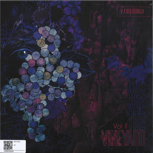 Various Artists - We Are The Vineyard Vol. II