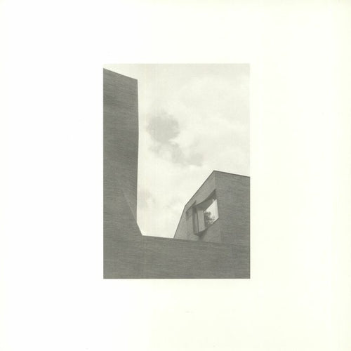 POLYGONIA / HRNR / ANDREA COSSU / SIMONE BAUER / NATASHA GIORDANO / FILIP SIJANEC / CAMILLA PISANI - Variierende Tone Vol 1 [White Vinyl]