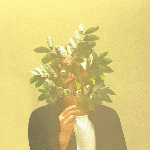 FKJ - French Kiwi Juice LP