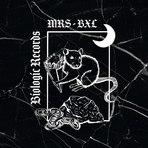 V/A (Azo&DJ Lovepills,S. Dziri,DC Salas,Abstraxion) - MRS - BXL