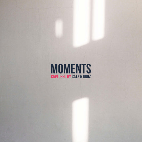 Catz 'n Dogz - Moments