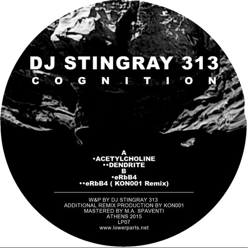 DJ Stingray 313 - Cognition