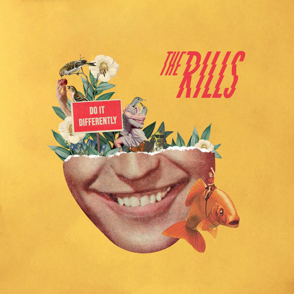 The Rills - Do It Differently