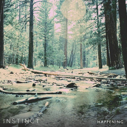 INSTINCT - Happening