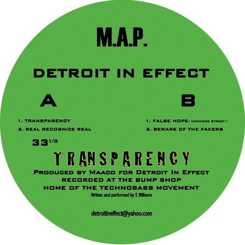 Detroit In Effect - Transparency